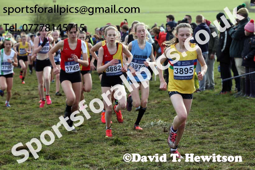Girls under-15s 2019 British Athletics Inter Counties Cross Country, Prestwood Hall, Loughborough. Photo:  David T. Hewitson/Sports for All Pics